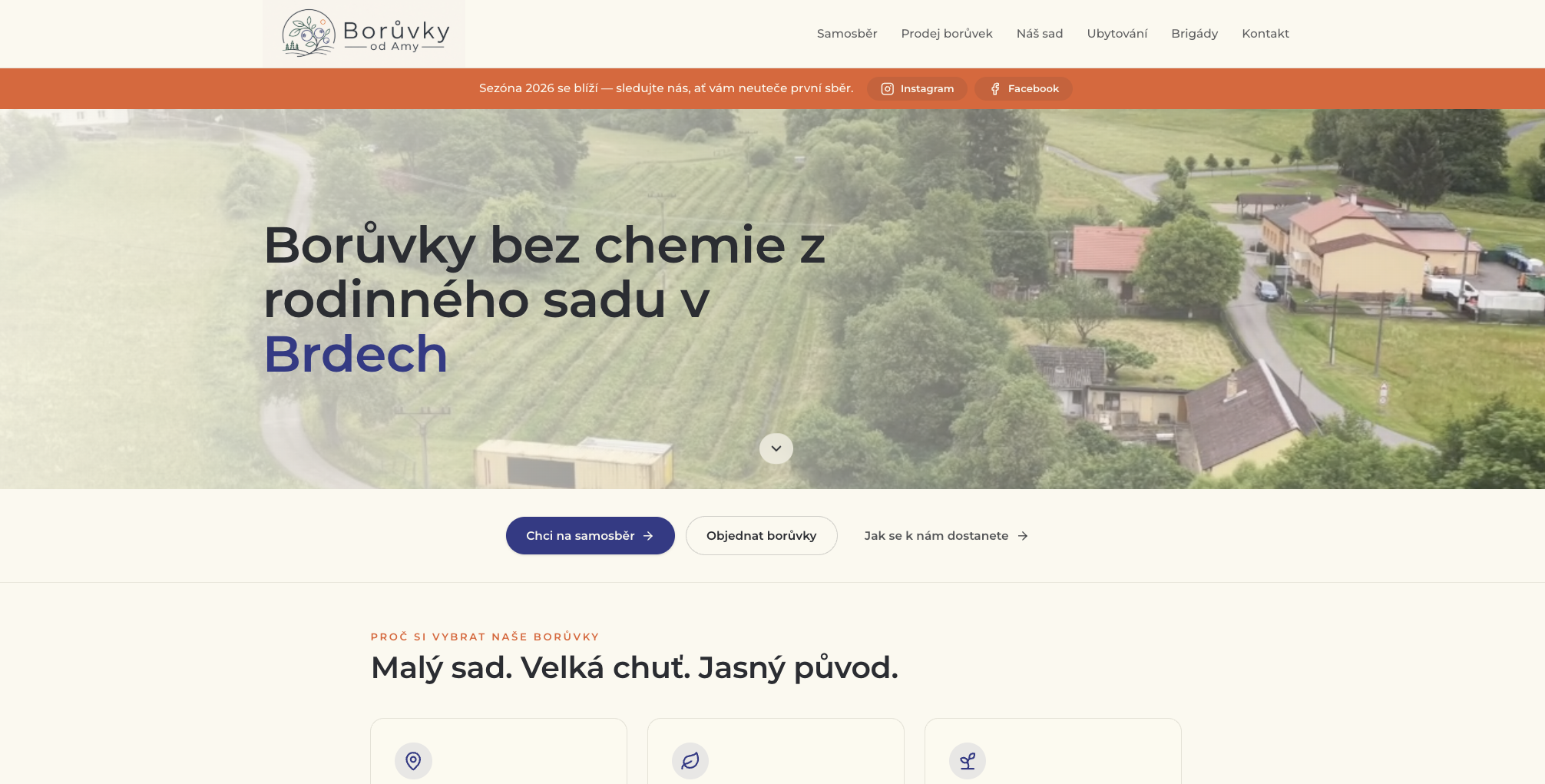 Náhled homepage webu Borůvky od Amy